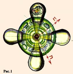 ���. 1